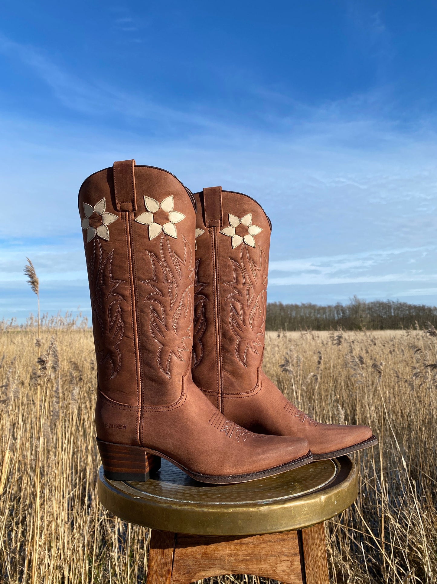 Western Floral Boots