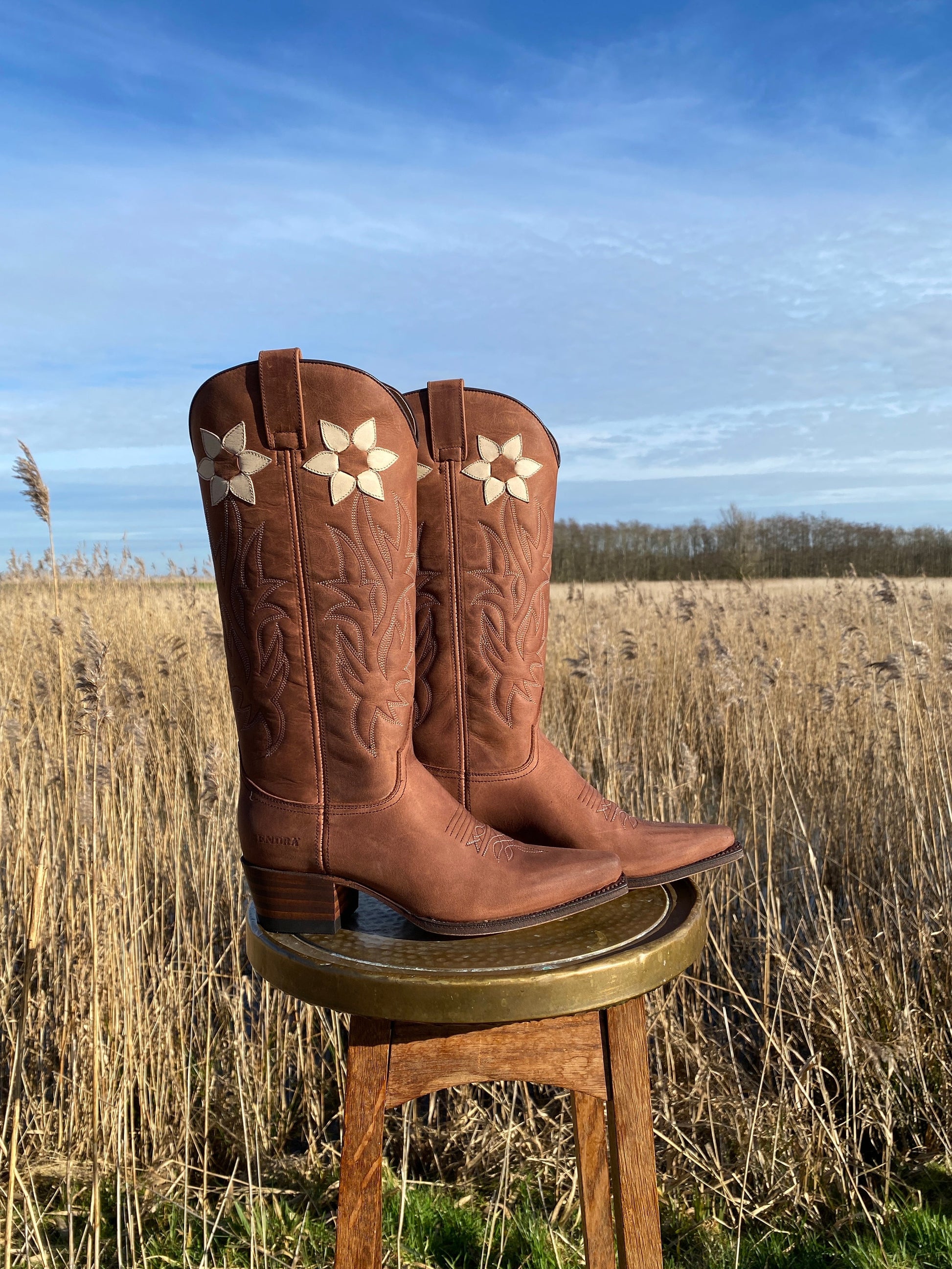 Western Floral Boots